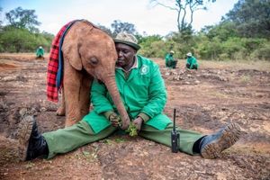 دوستی فیل و انسان در عکس روز نشنال جئوگرافیک