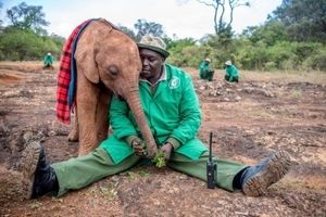 دوستی فیل و انسان در عکس روز نشنال جئوگرافیک
