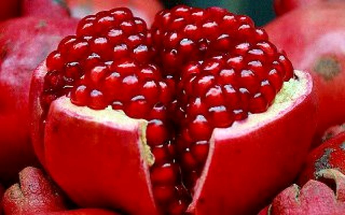 قیمت انار شب یلدای۹۵