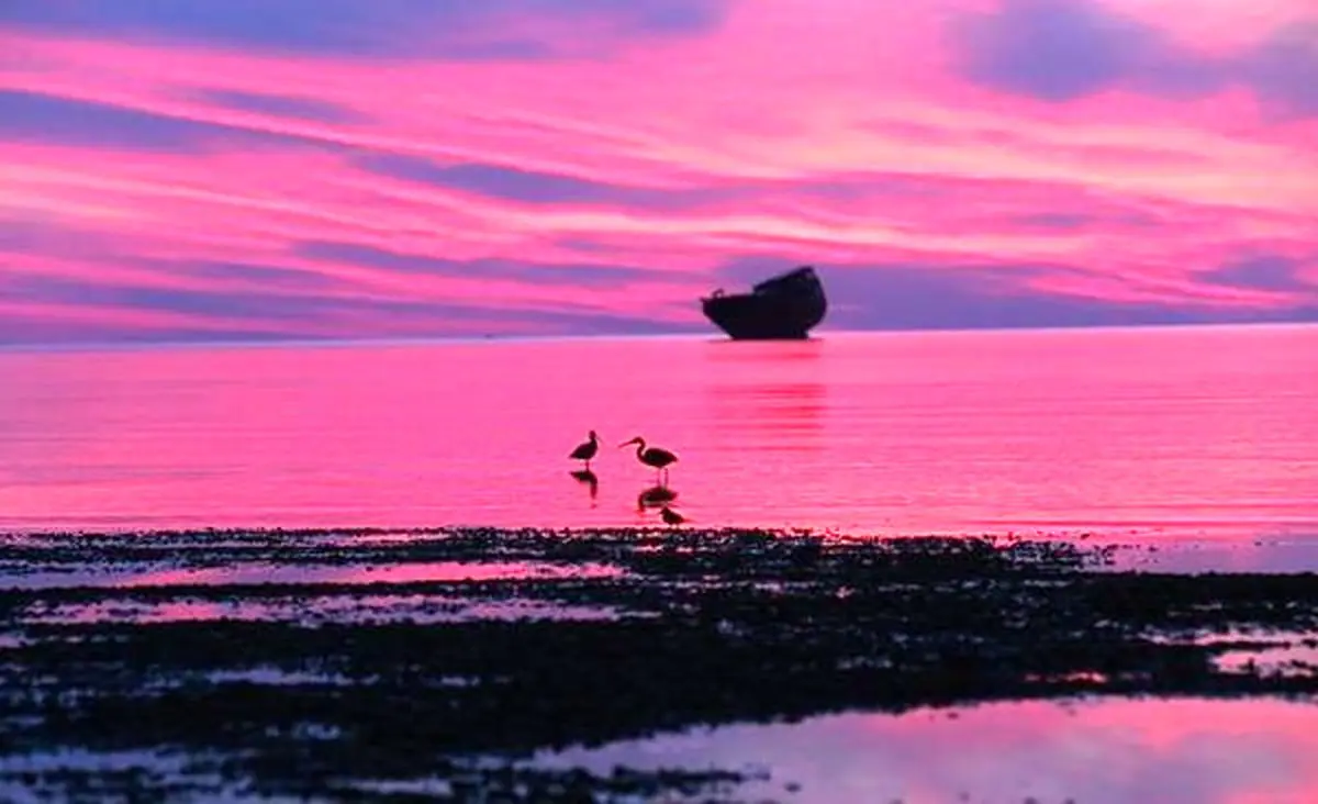 گزارش تصویری/ اینجا خلیج همیشگی فارس است