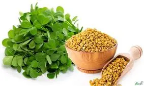 نسخه‌های گیاهی موثر برای تقویت مو