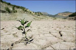 شدت خشکسالی در هر یک از استان‌ها/ تداوم خشکسالی بسیار شدید در ۱۲ استان