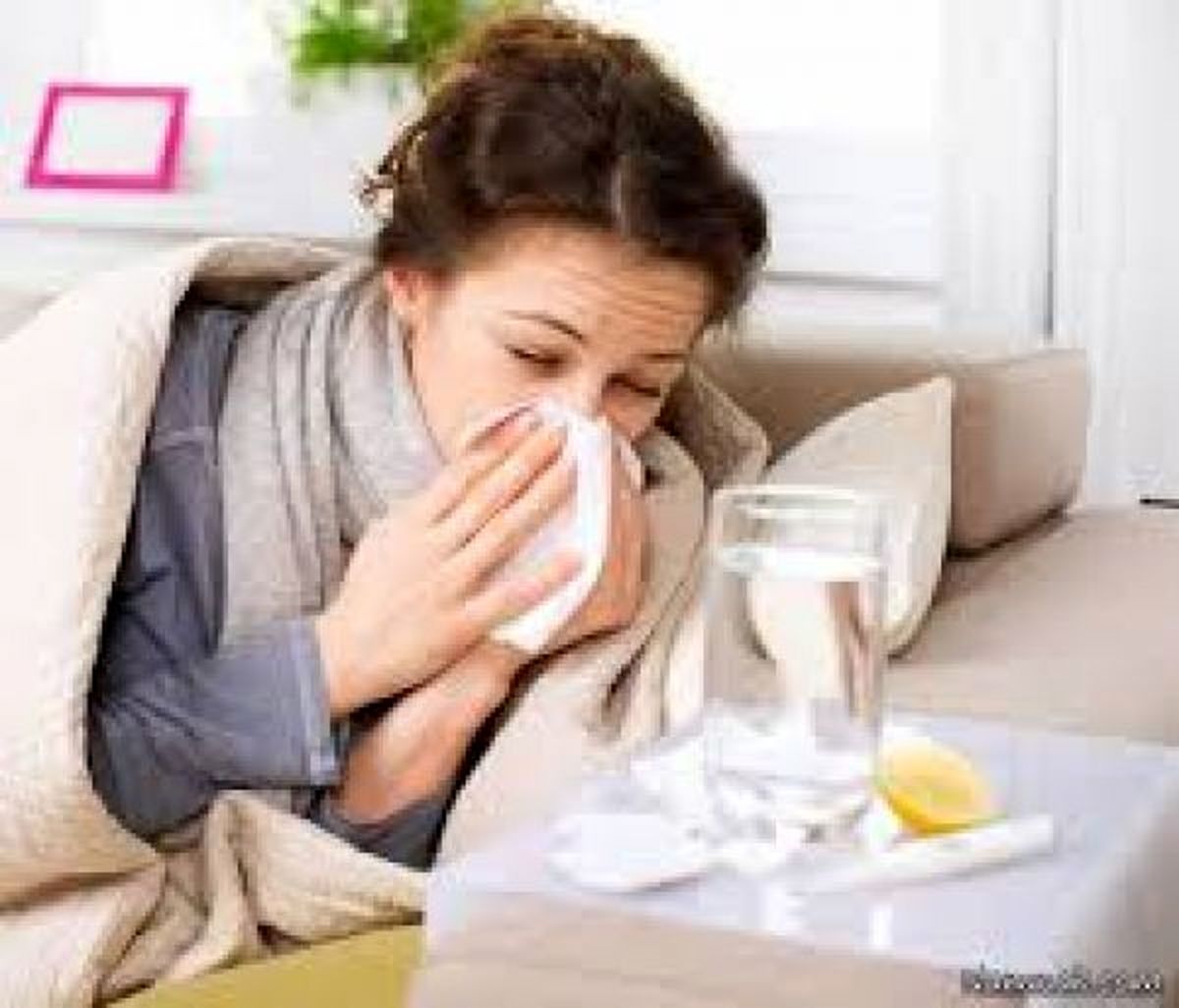 چند روش گیاهی ساده برای «درمان سرماخوردگی»