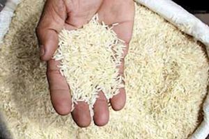 واکنش سازمان غذا و دارو به ماجرای برنج‌های لاستیکی و پلاستیکی