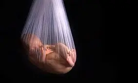 یک مرکز غیرمجاز سقط جنین در کرمانشاه پلمپ شد