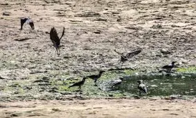 زاینده رود از بی اطلاعی مردم اصفهان خشک شد