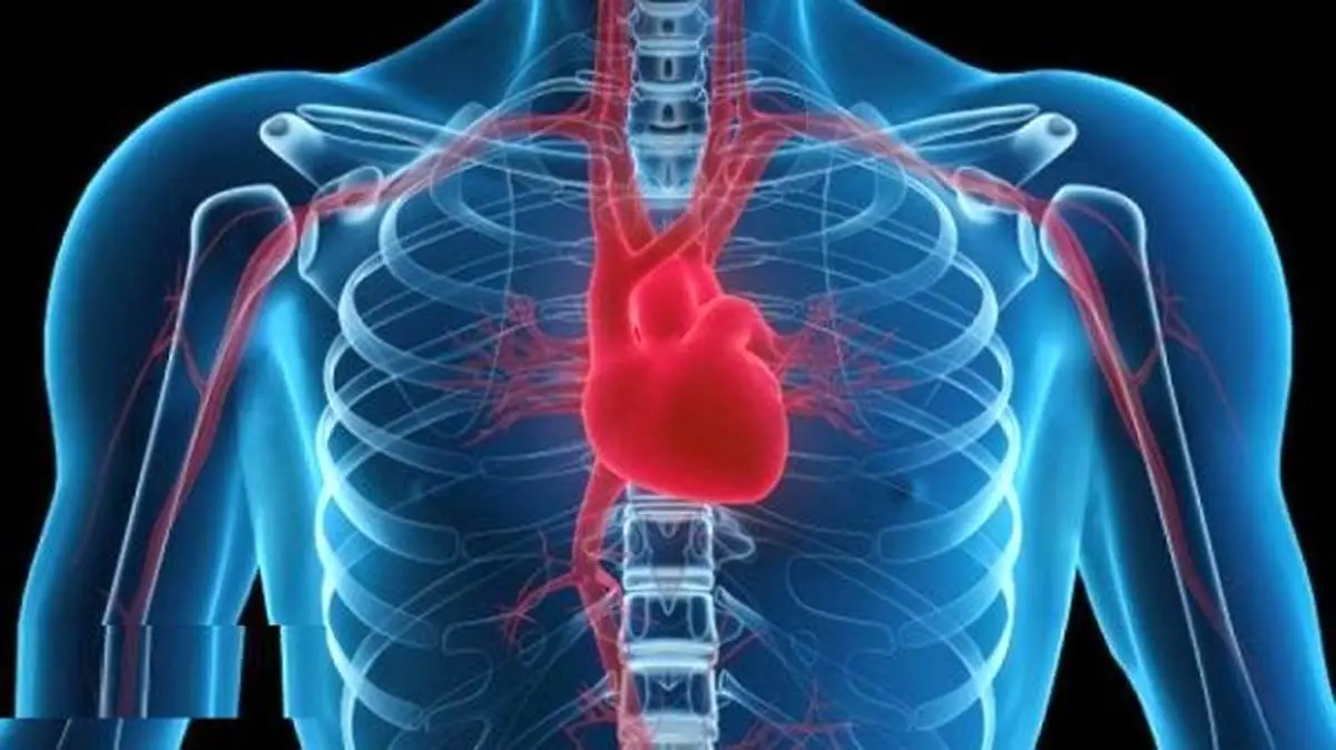 مهم‌ترین عامل ابتلا به بیماری قلبی چیست؟