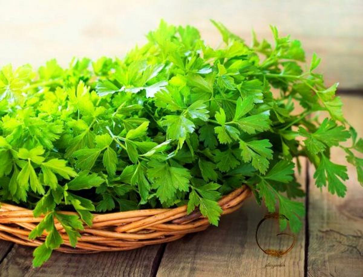 خواص شگفتانگیز جعفری