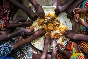 هر پرس غذا در نیویورک 1.2 دلار، در سودان 321 دلار / غذای دور ریز به اندازه 2 میلیارد نفر؛ آمار گرسنگان 800 میلیون نفر