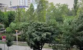 طوفان در راه تهران / لب بام و زیر ساختمان‌های نیمه کاره نروید