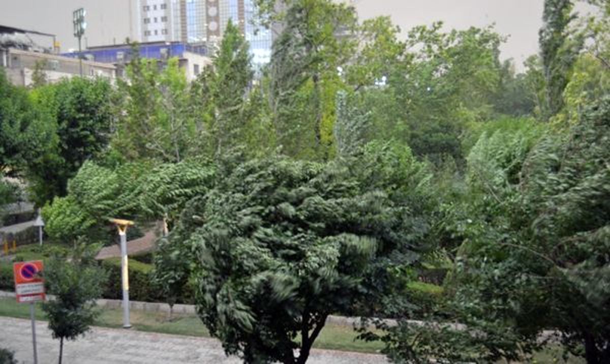 طوفان در راه تهران / لب بام و زیر ساختمانهای نیمه کاره نروید