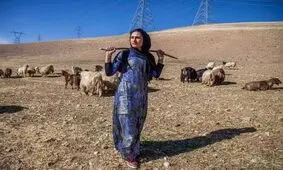 گزارش تصویری/ دختر کوچ نشین، قهرمان کیک بوکسینگ ایران