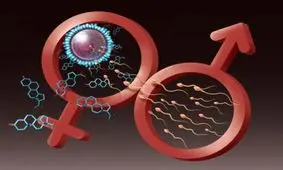 در بارداری چندقلوها چه عواملی موثر است؟