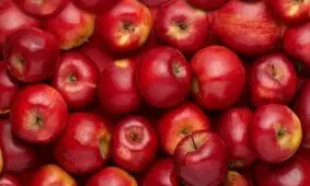 ترکیب گیاهی ساده برای «درمان کم‌خونی» + دستور تهیه