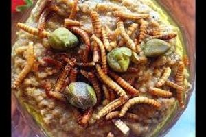 رویکرد ایتالیائی‌ها به حشرات خوراکی در فهرست غذایی خود
