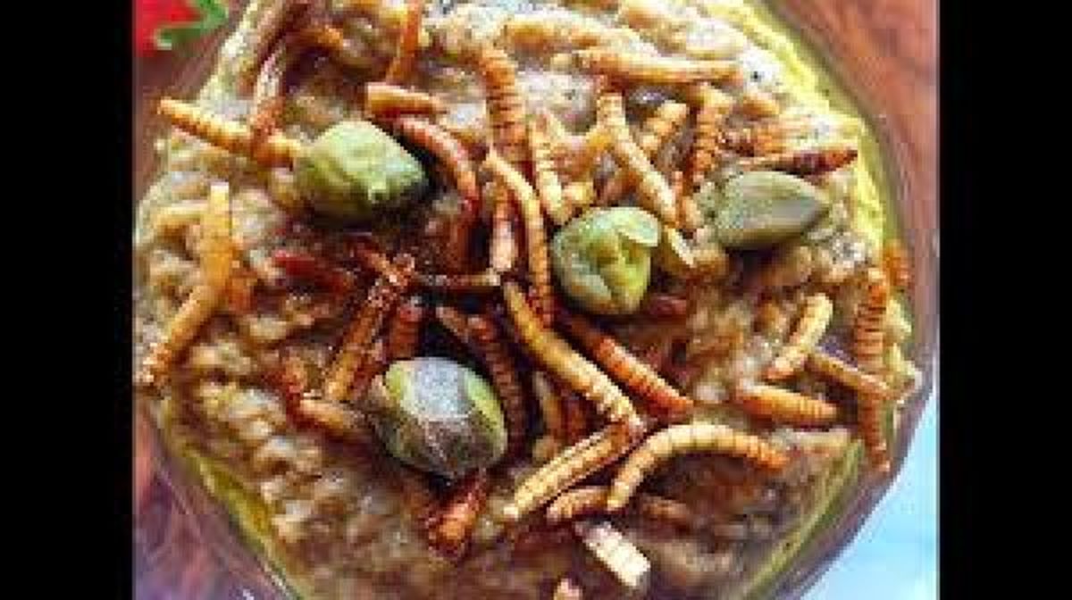 رویکرد ایتالیائی‌ها به حشرات خوراکی در فهرست غذایی خود