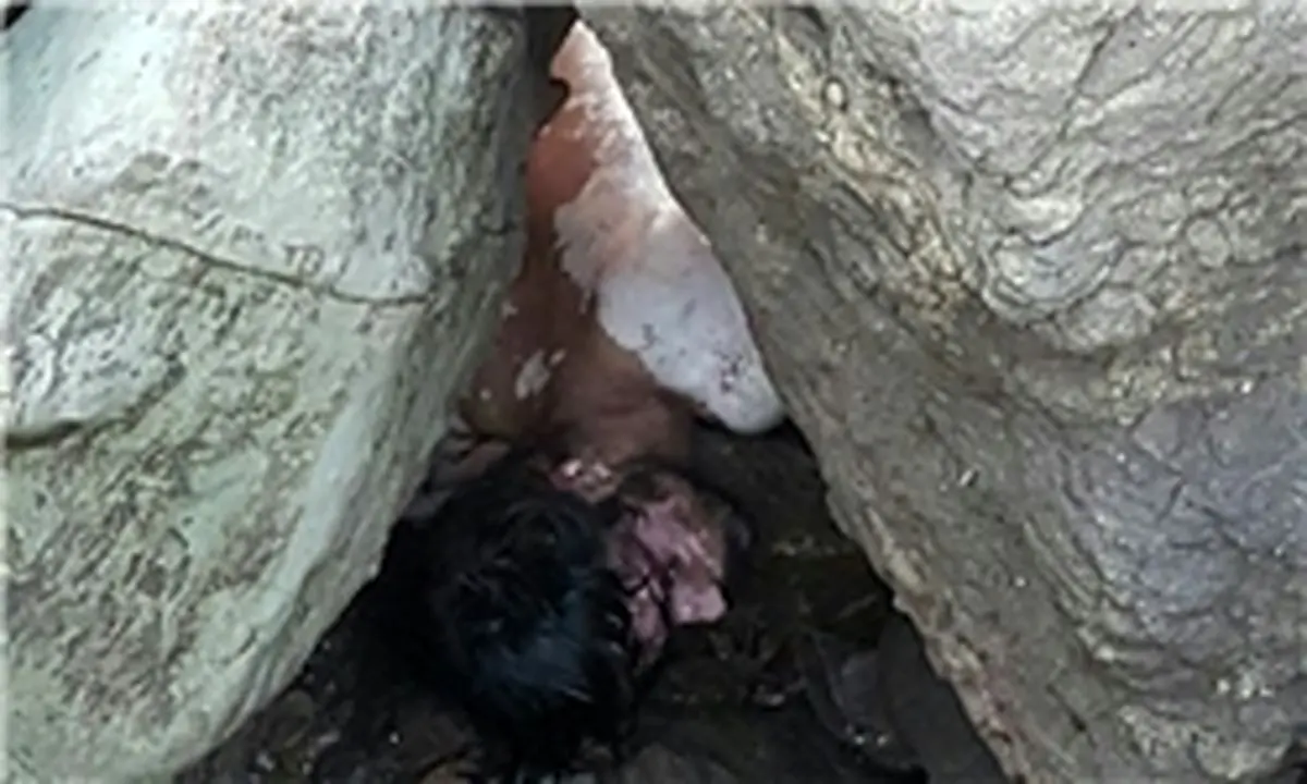 کشف جسد جوان کرمانی از لابه‎لای صخره‌های جزیره هرمز