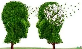 8 روش پیشگیری از آلزایمر