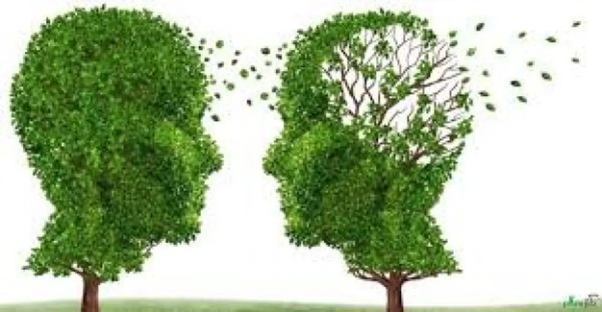 8 روش پیشگیری از آلزایمر