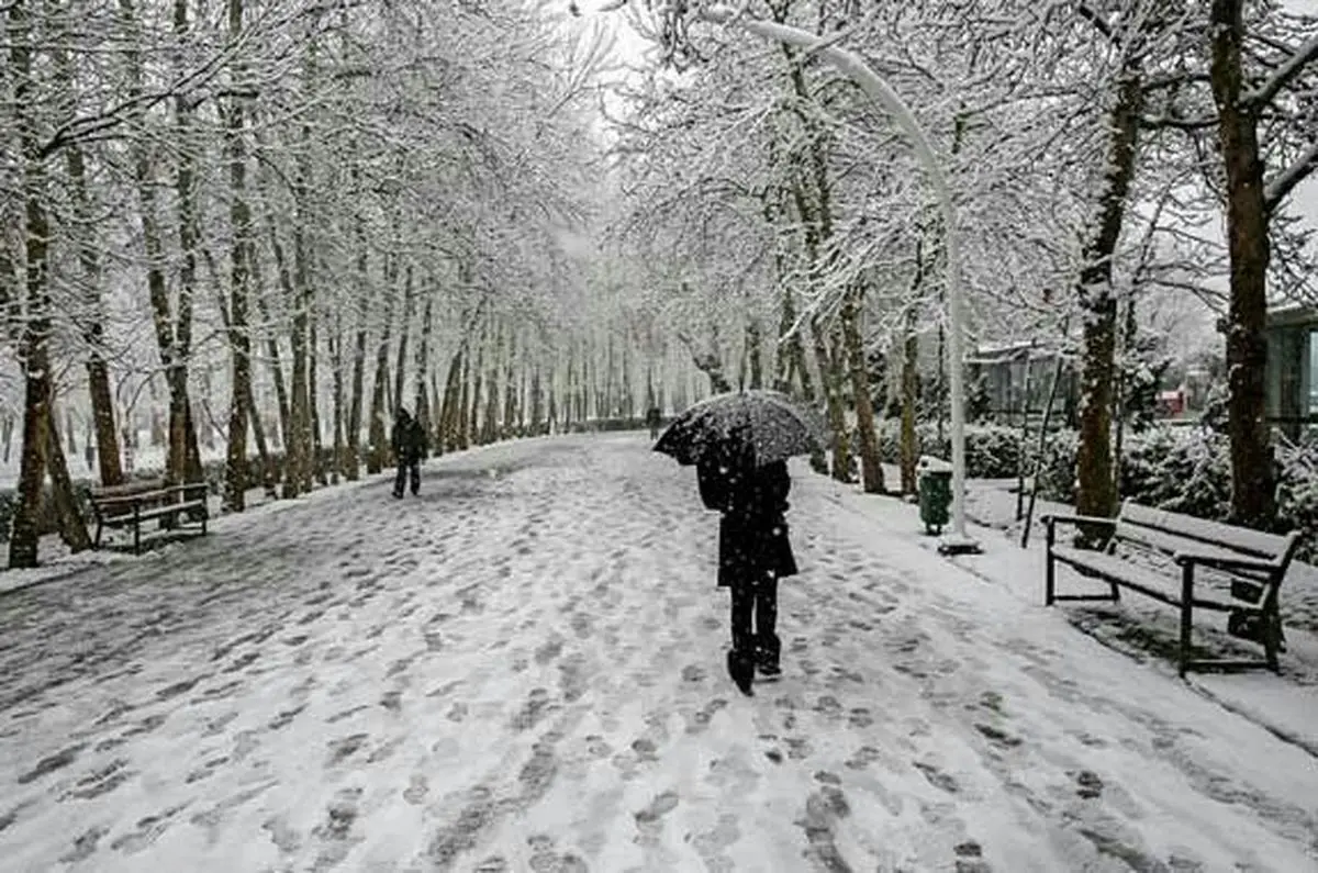 آماده باشید؛ هفته بسیار سردی پیش رو است