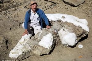 اسکلت ۶۷ ساله یک دایناسور کشف شد