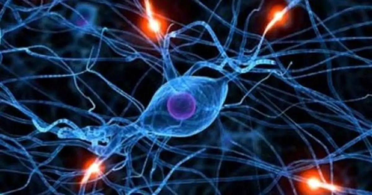 ۶ نشانه هشداردهنده ابتلا به آسیب های عصبی