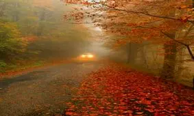 پاییزی ترین جاده کشور +عکس