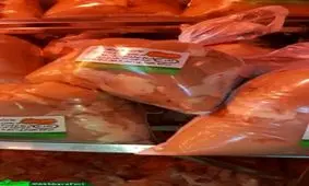 مرغ های تولید شده در فردا!