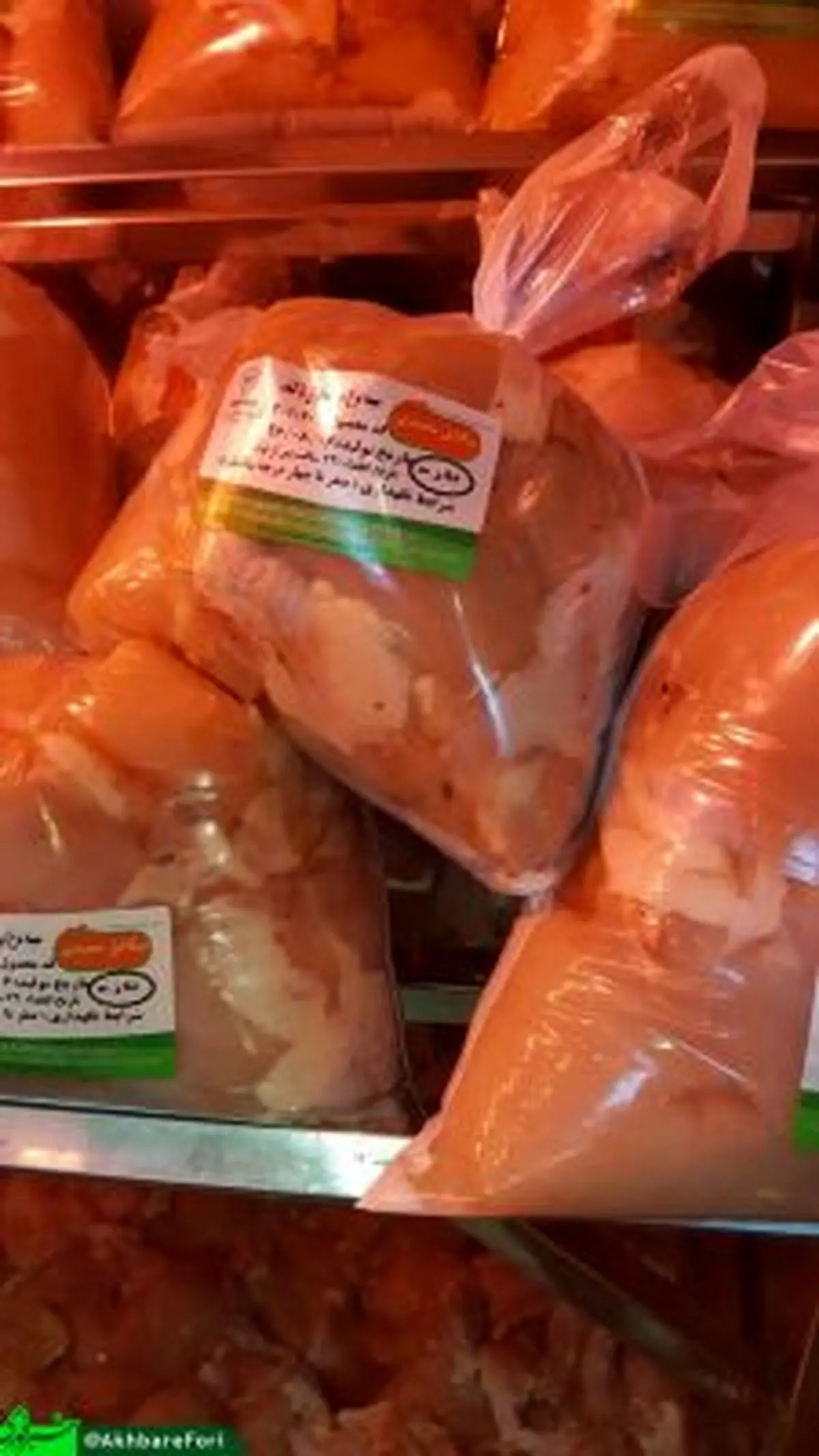 مرغ های تولید شده در فردا!