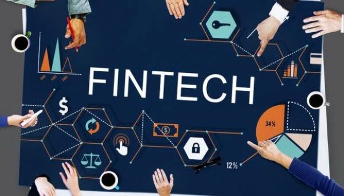 فین تکها ضرر رسان هستند؟