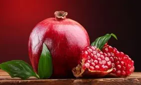 "انار" یک مبارز حرفه ای