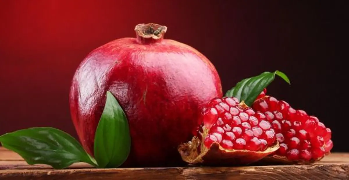 "انار" یک مبارز حرفه ای