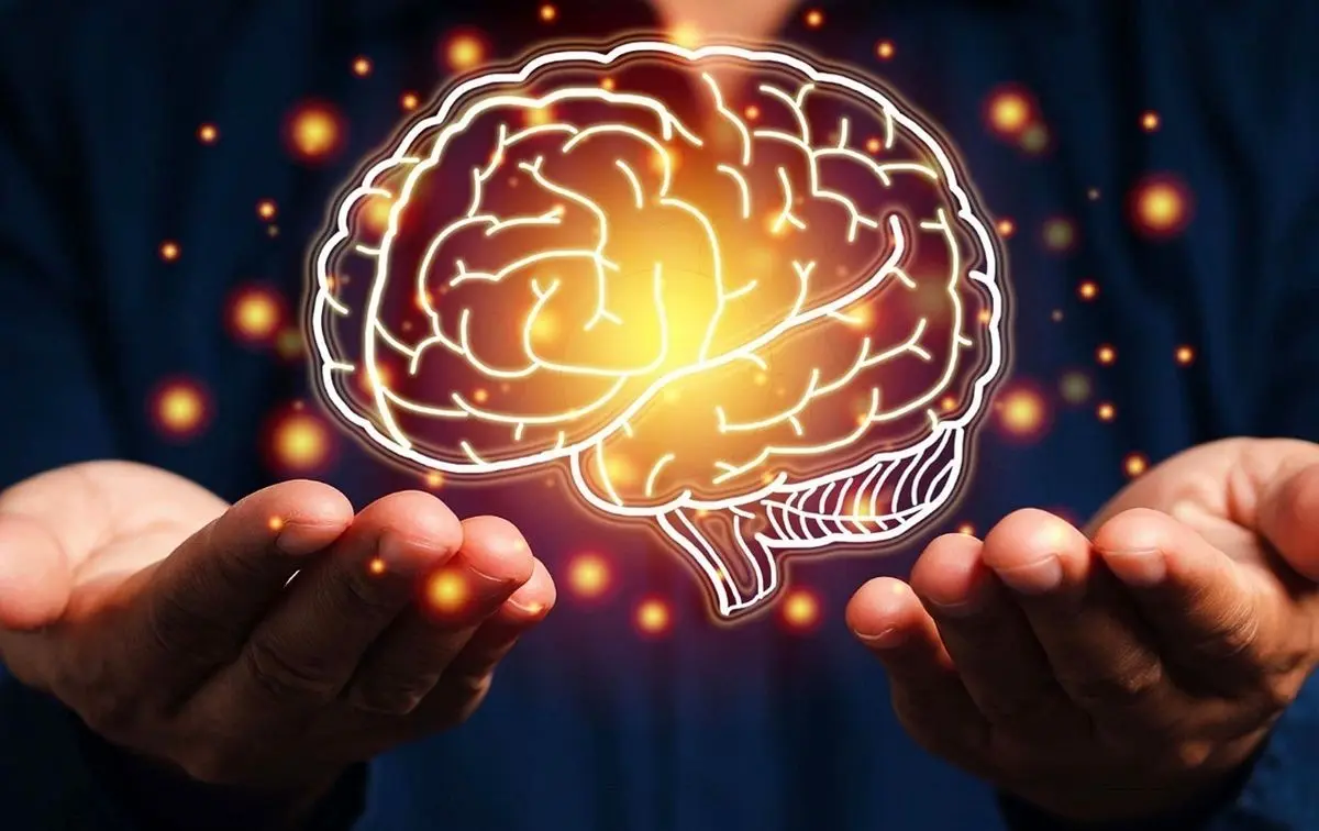 5 دوره ساختاری مغز؛ کشف نقاط عطف سیم کشی عصبی از تولد تا کهنسالی/ تصاویر