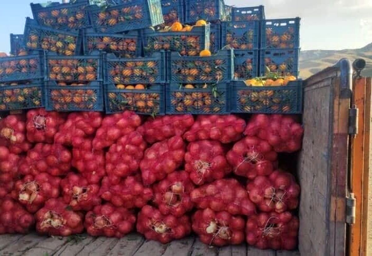 قاچاق عجیب پیاز در لباس پرتقال