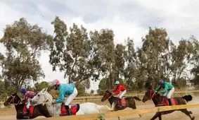 مسابقات اسب‌دوانی کشور در اهواز به پایان رسید