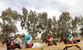 مسابقات اسب‌دوانی کشور در اهواز به پایان رسید