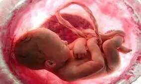 لحظه شگفت انگیز به دنیا آمدن دوقلوهای زیبا/ ویدئو