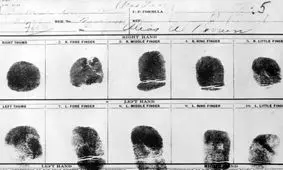 حقاق جالب و عجیب در مورد اثر انگشت که شاید نمی دانستید