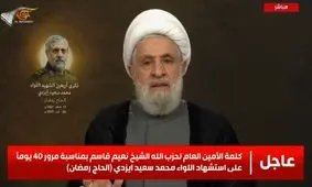 شیخ نعیم قاسم: اگر سلاحمان را تحویل دهیم، تجاوز متوقف نخواهد شد