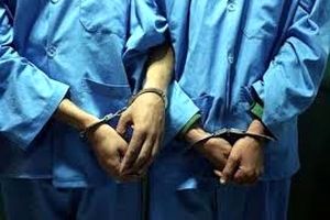 دستگیری ۱۳ سارق در عملیات ۷۲ ساعته پلیس سیرجان