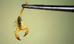 گرانترین مایع جهان + عکس