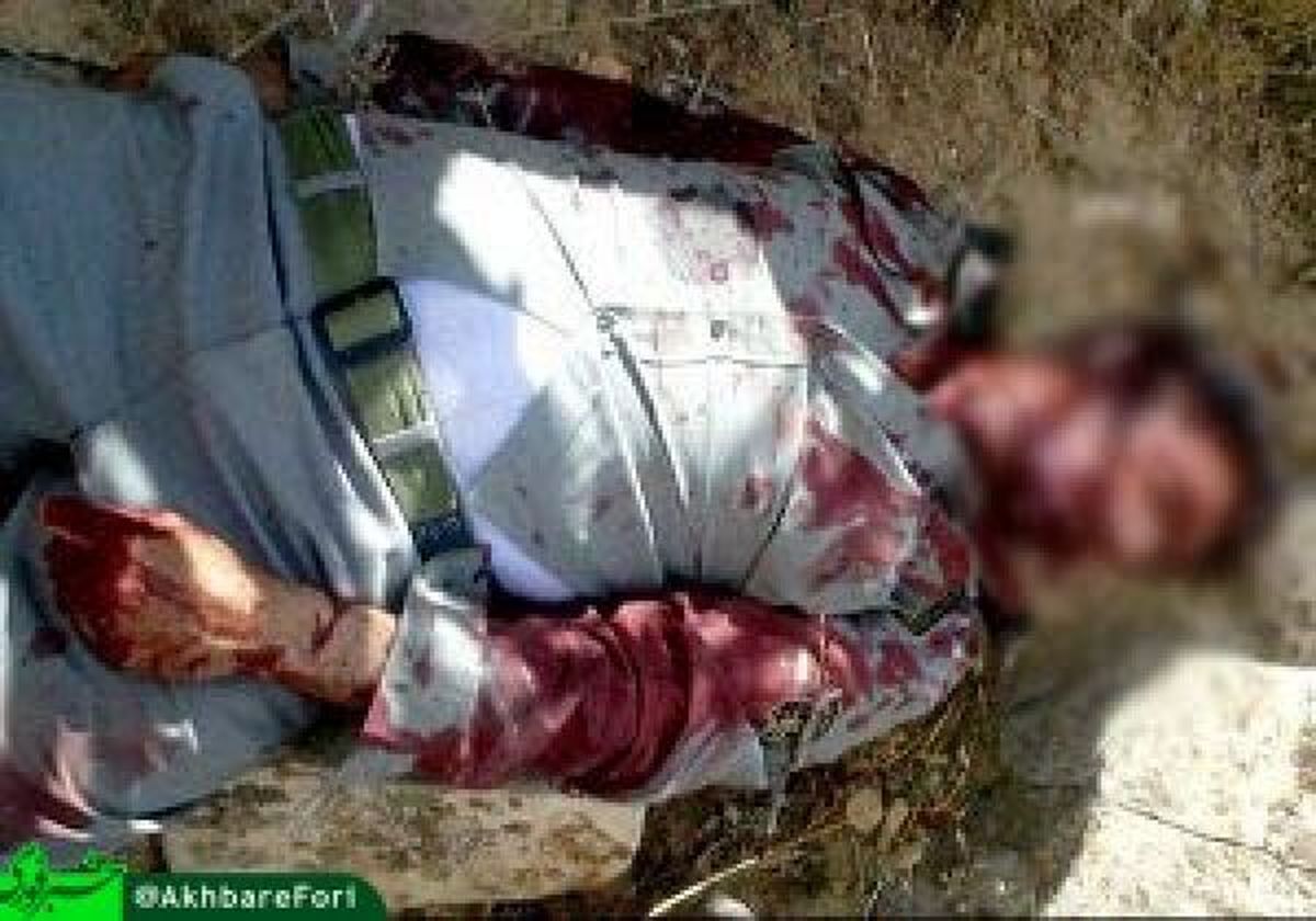 شهادت یک محیط بان یزدی در درگیری با اشرار موادمخدر