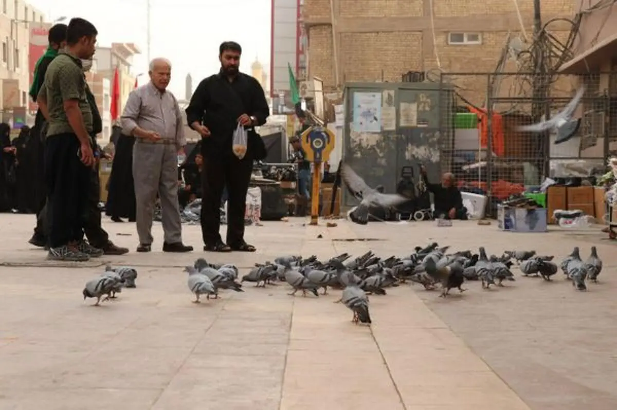 گزارش تصویری پیاده‌روی اربعین حسینی