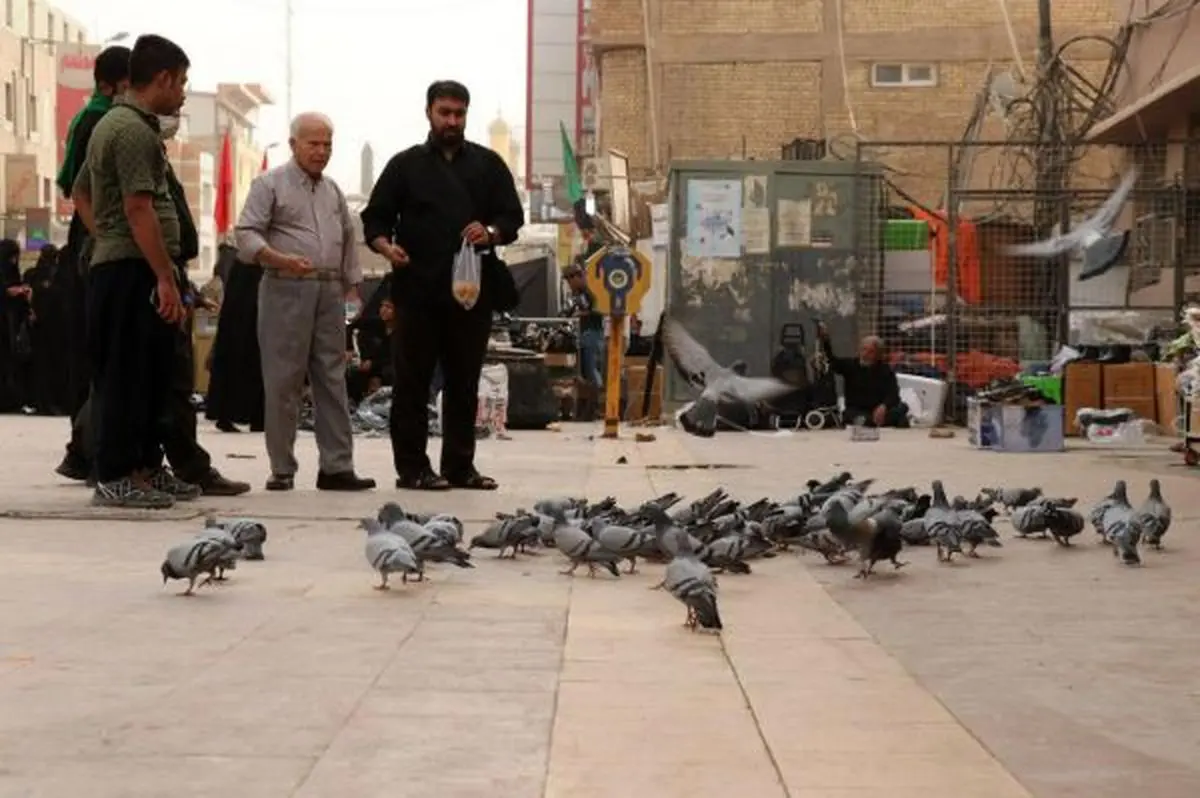 گزارش تصویری پیاده‌روی اربعین حسینی