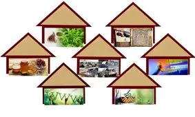 6 میلیارد تومان وام به مددجویان کمیته امداد سیاهکل پرداخت می شود