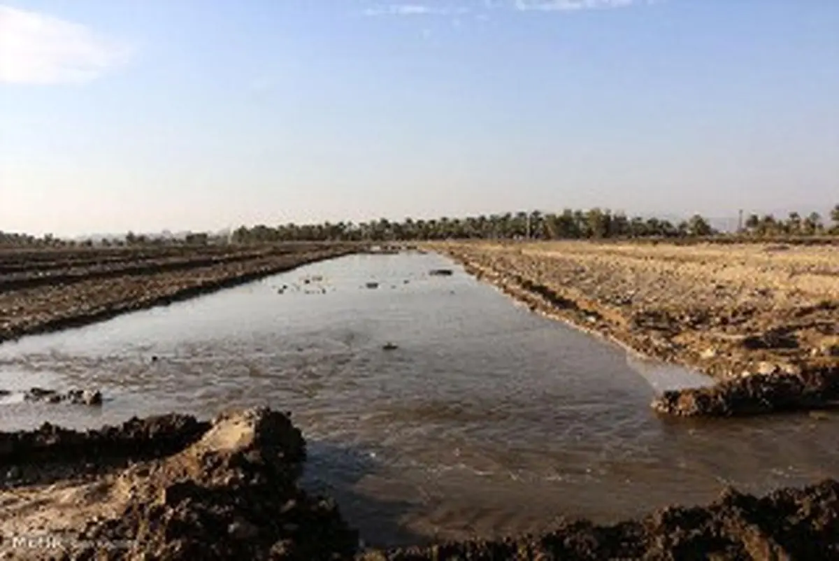 دخل و خرج کشاورزان هرمزگانی به پای آبیاری قطره‌ای نمی‌رسد