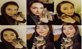 درباره گربه هانیه توسلی