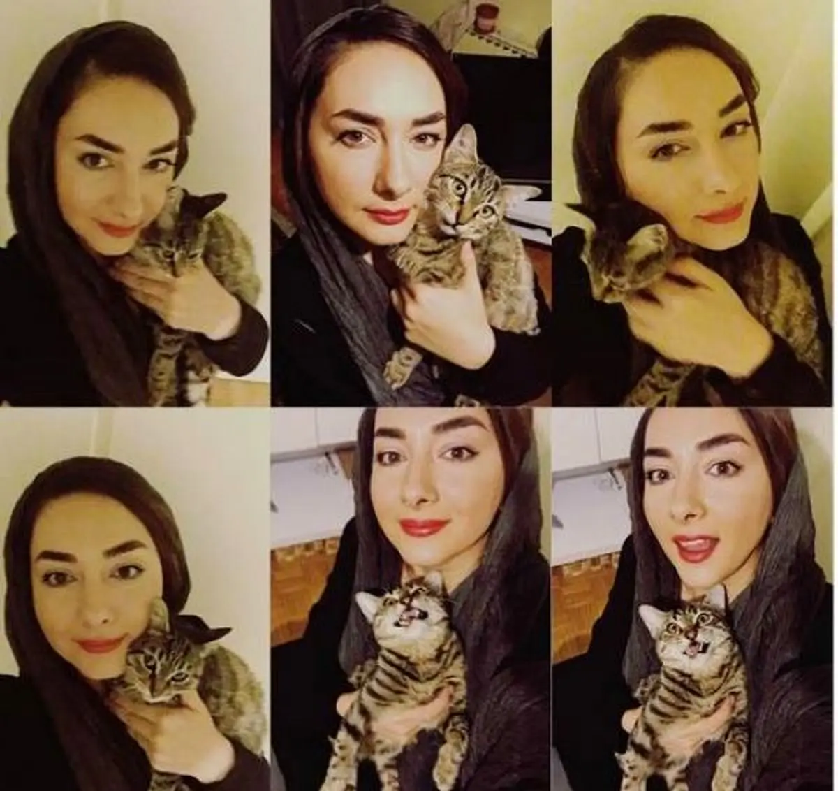 درباره گربه هانیه توسلی