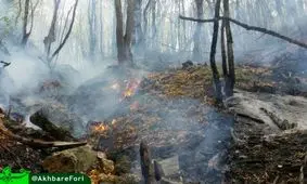 مهار آتش سوزي جنگل هاي ابر شاهرود