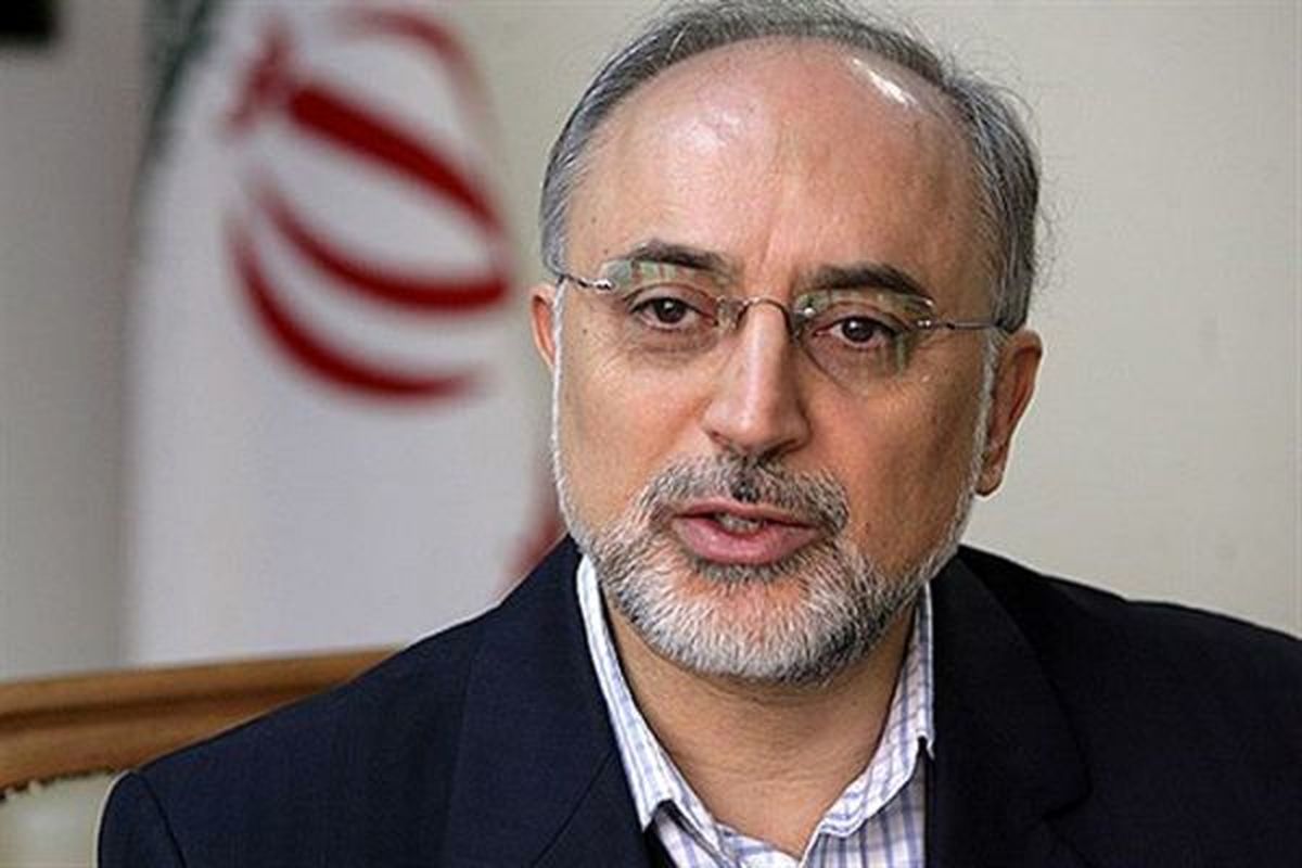 صالحی: آمریکا می خواهد برجام را با هزینه ایران عقیم کند